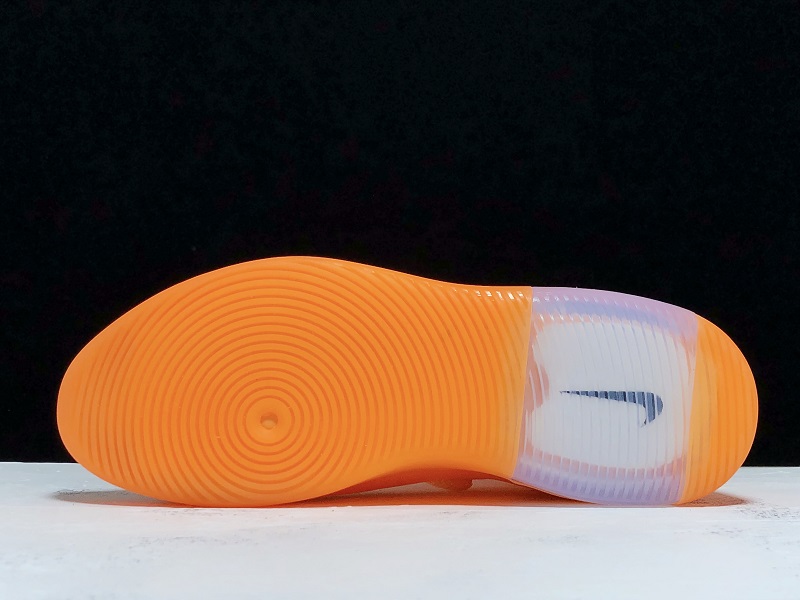 NIKE Air Fear Of God Fog 1 AR4237-800