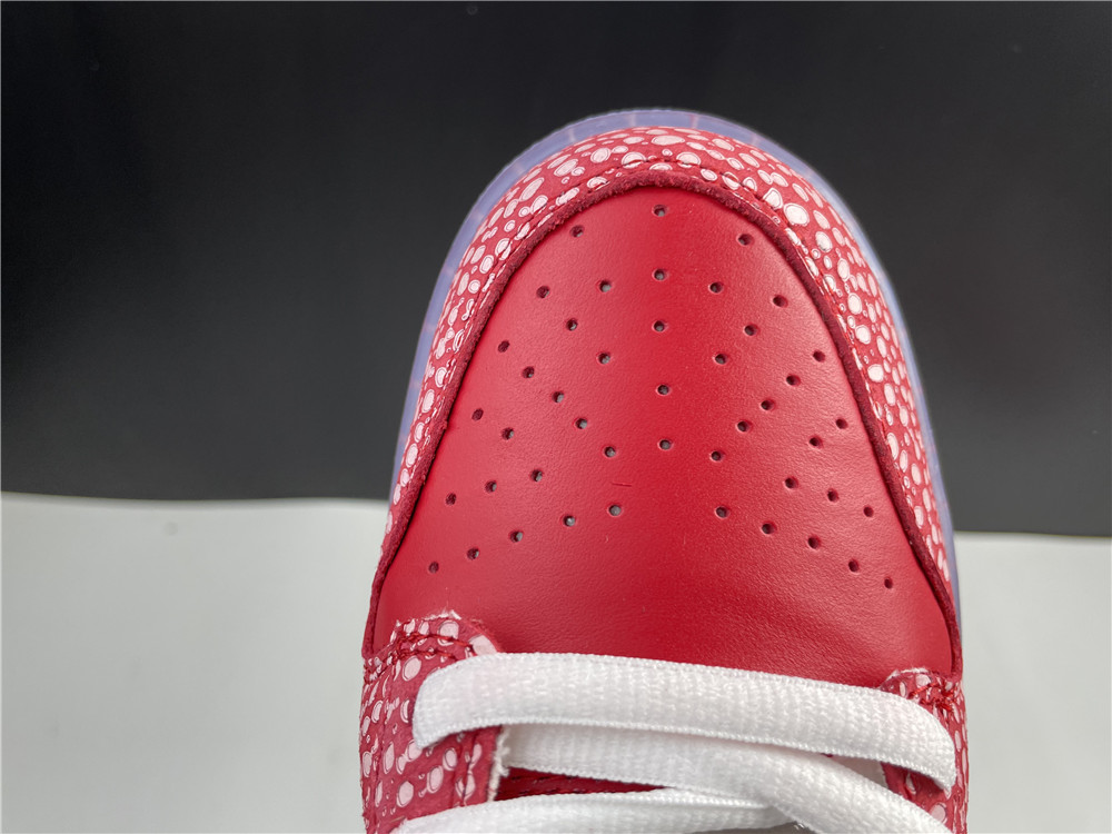 Nike Dunk SB Low Stingwater Magic Mushroom