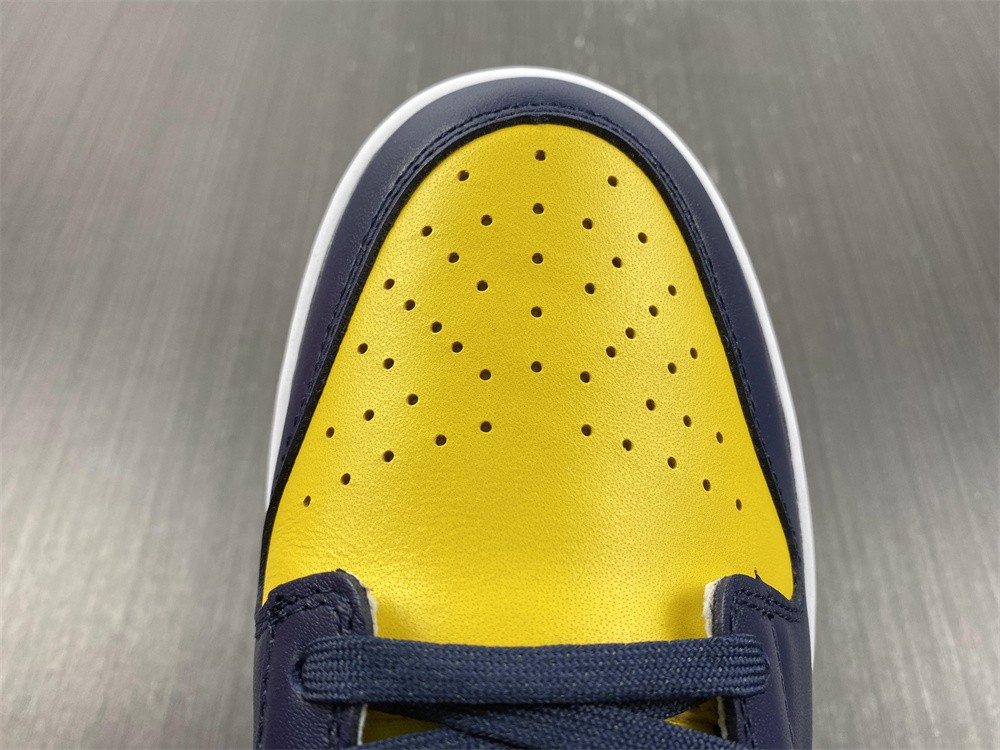 Nike SB Dunk Low Michigan DD1391-700