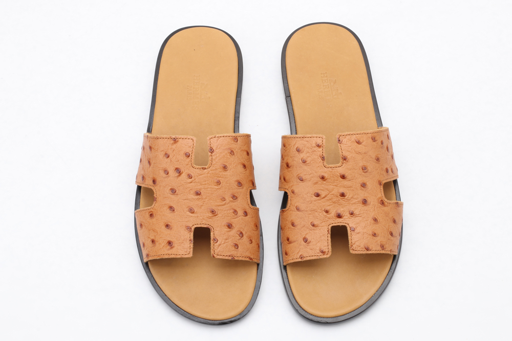 H*ermes Slides