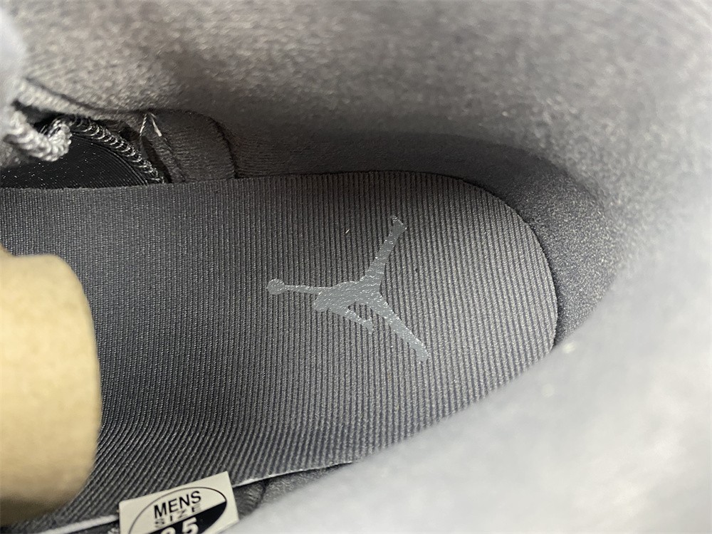 Air Jordan 12 STEALTH