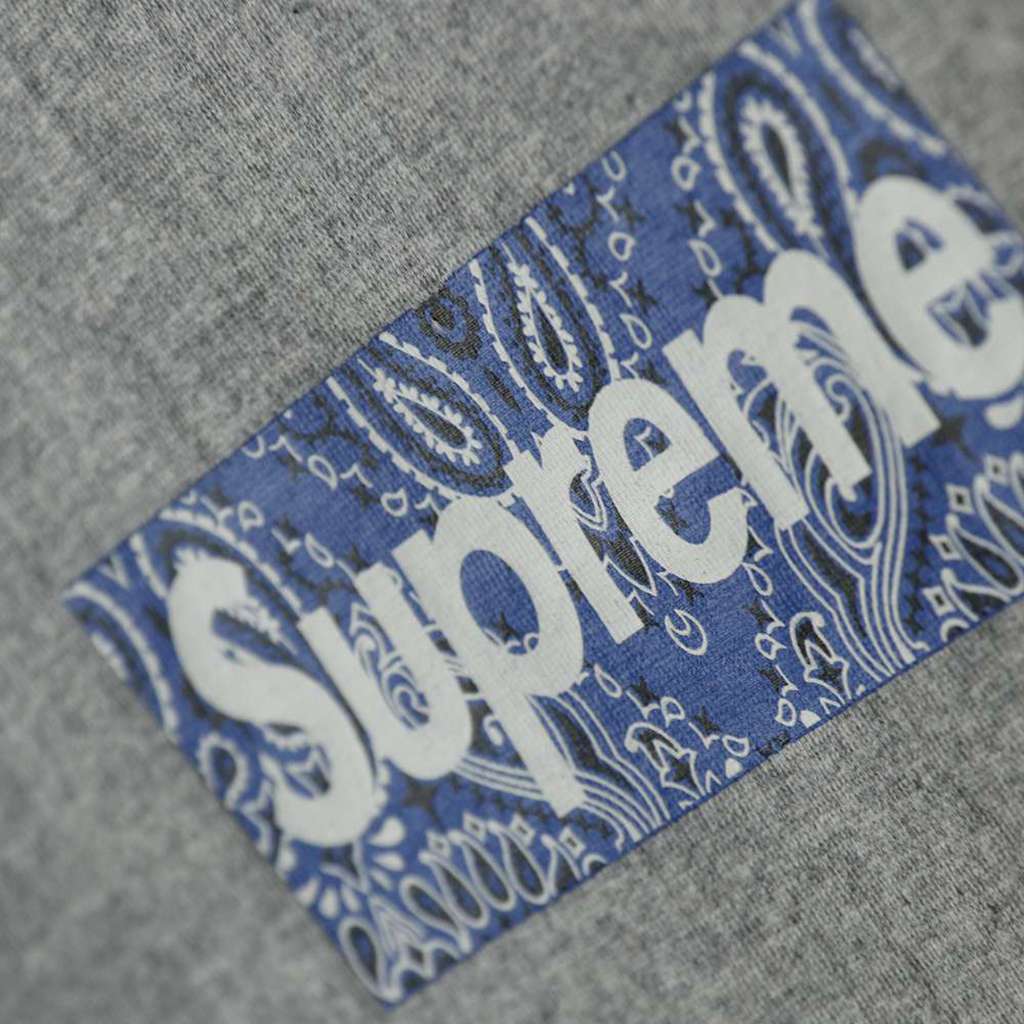 S*p*e 19fw bandana box logo tee