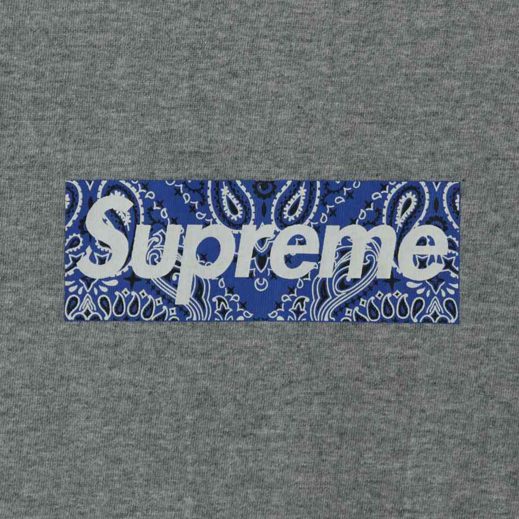 S*p*e 19fw bandana box logo tee