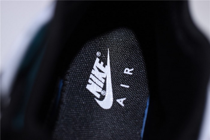 Nike Air Force 270 Carnivore AH6772-005